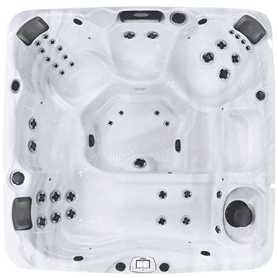 Avalon-X EC-840LX hot tubs for sale in St Petersburg