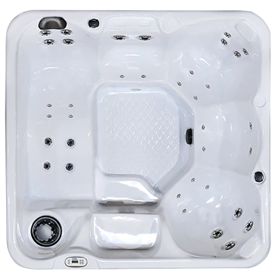 Hawaiian PZ-636L hot tubs for sale in St Petersburg